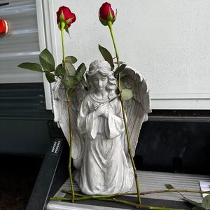 Meet your Posher, Kelsie